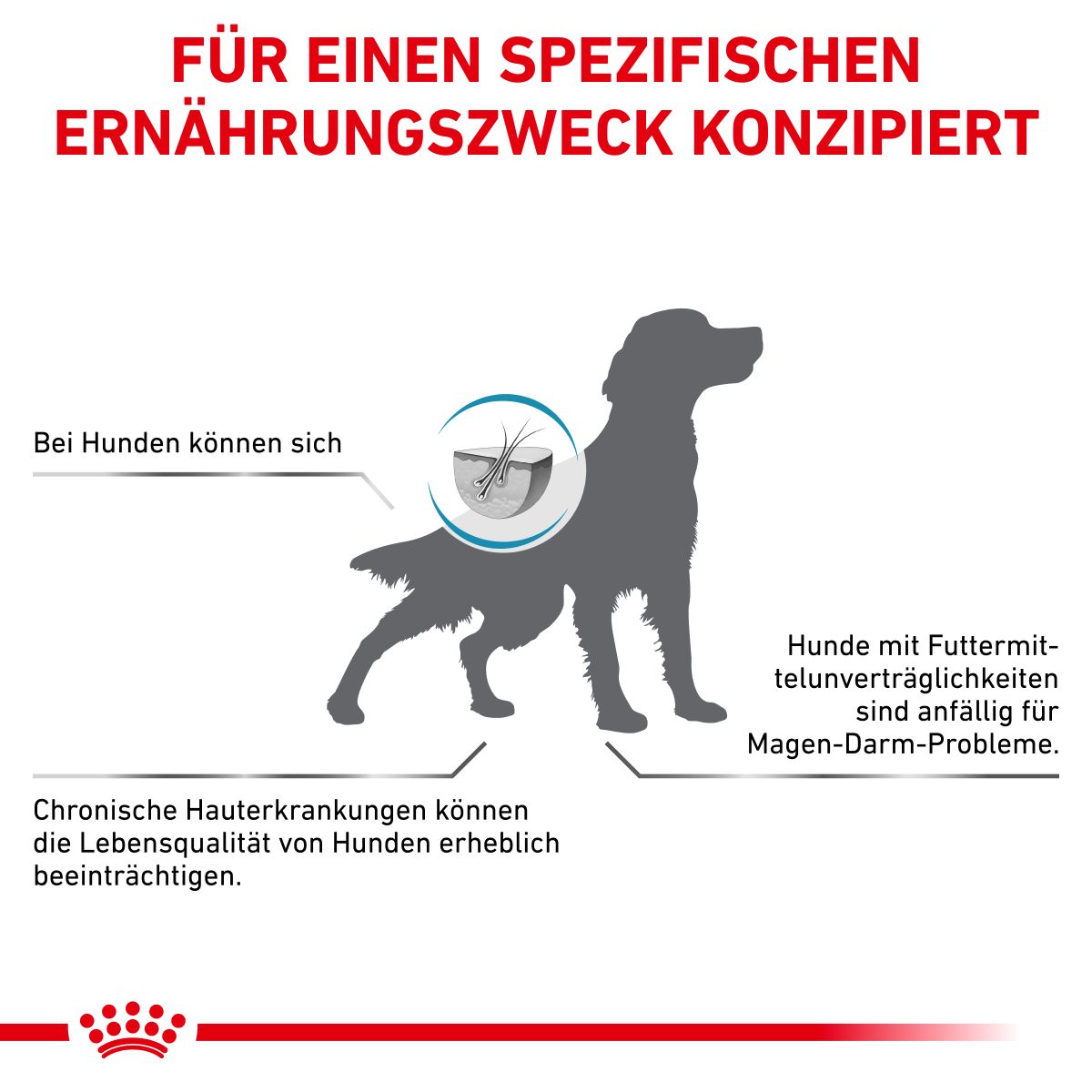  Royal Canin Anallergenic Trockenfutter Für Hunde 1,5 Kg Trockenfutter Für Hunde