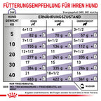  Royal Canin Dog Adult Frischebeutel Für Hunde 12 X 100 G Frischebeutel Für Hunde