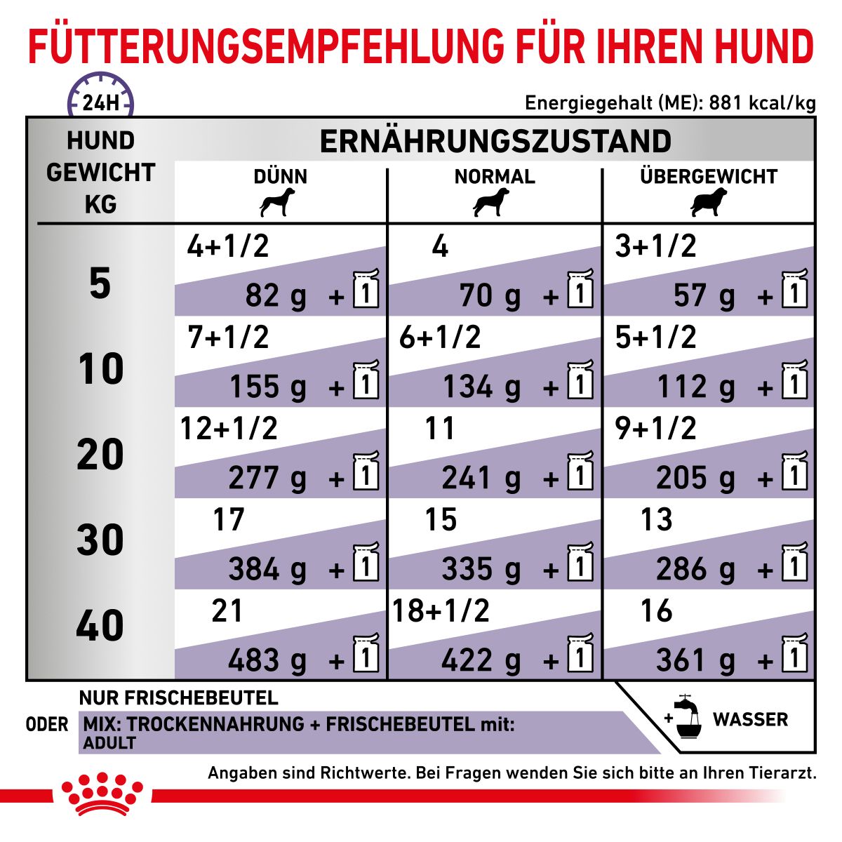 Royal Canin Dog Adult Frischebeutel Für Hunde 12 X 100 G Frischebeutel Für Hunde